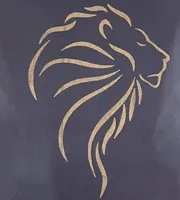 Lion cover{تهرن}